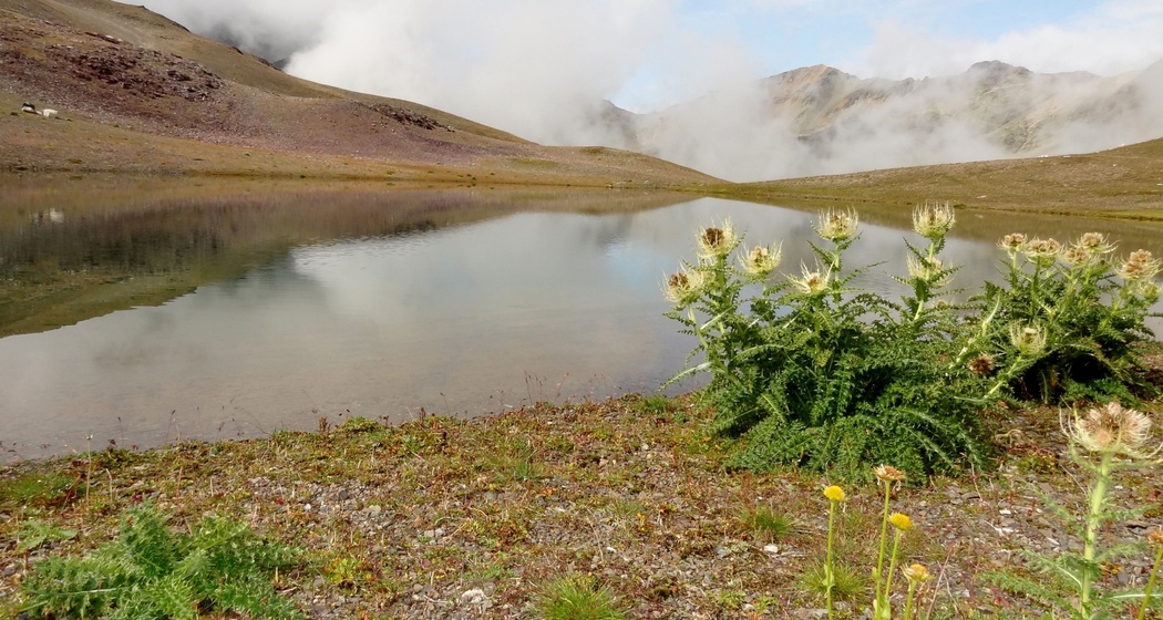 Lej da la Pêsch (oua_620279858_image)