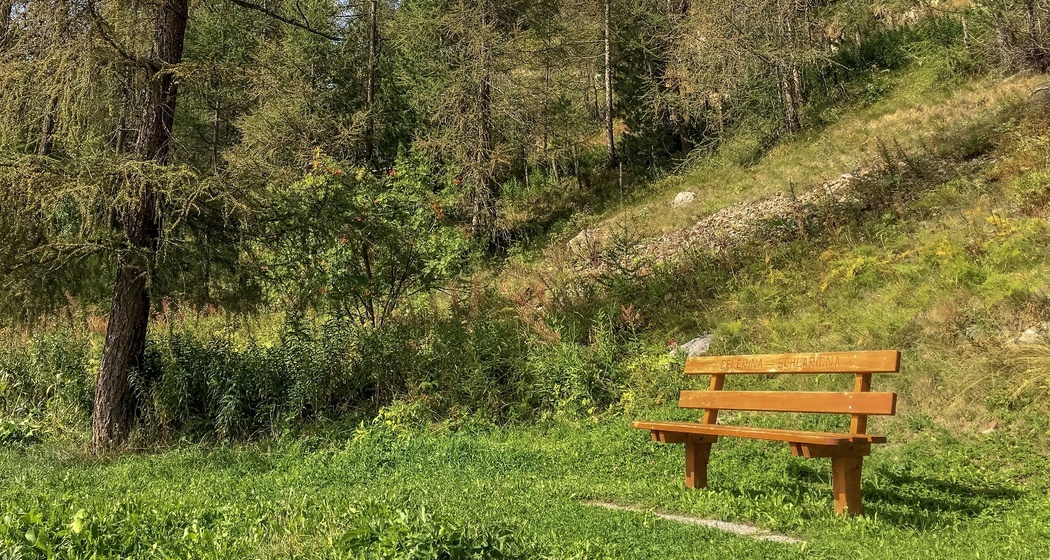 Sitzbank Cresta Run (oua_620279877_image)