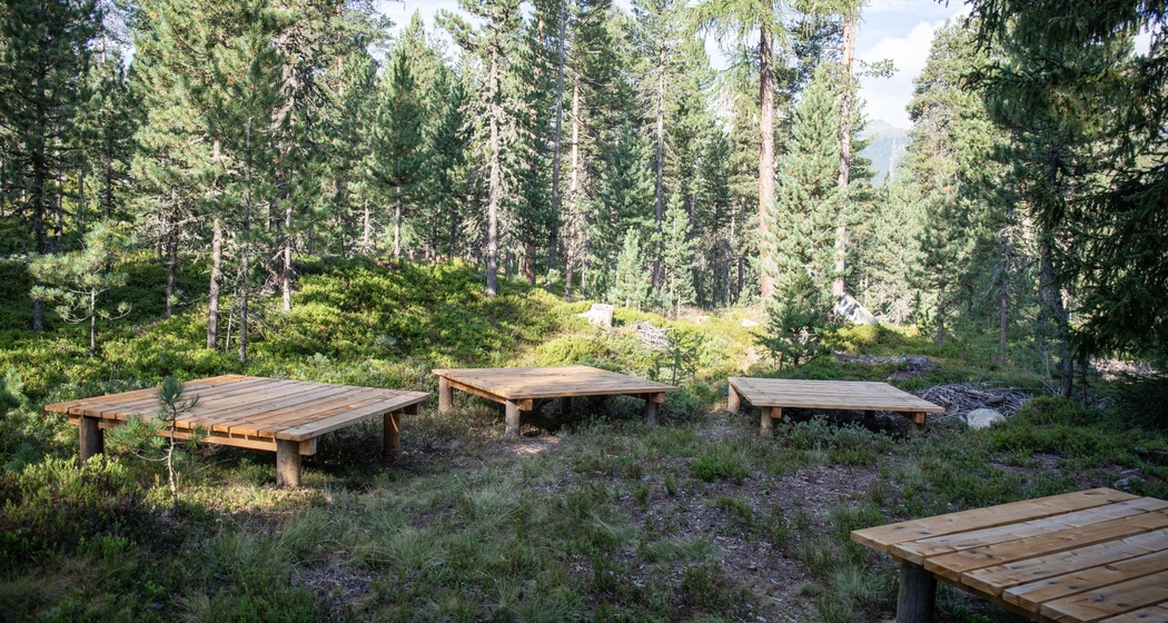 Yogaplattformen im Stazerwald (oua_620280090_image)