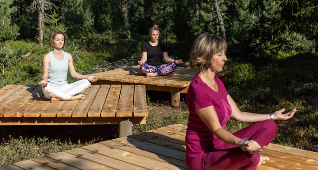 Yogaplattformen im Stazerwald (oua_620280091_image)