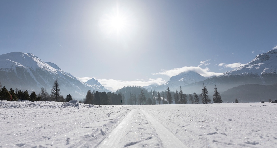 Langlaufzentrum Celerina (oua_620280126_image)