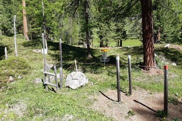 Disc-Golf (oua_620280132_image)