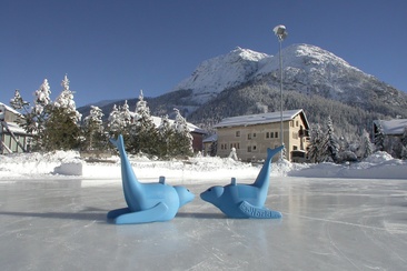 Eisplatz La Punt (oua_620280234_image)