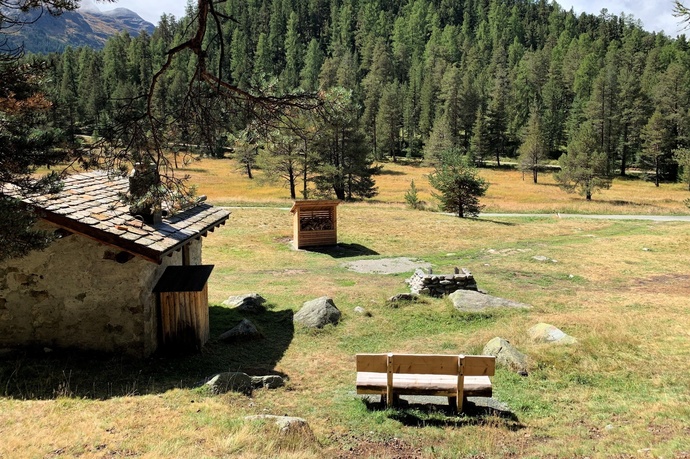 Aire de grillade près de Palüd Chapè (oua_620280466_image)