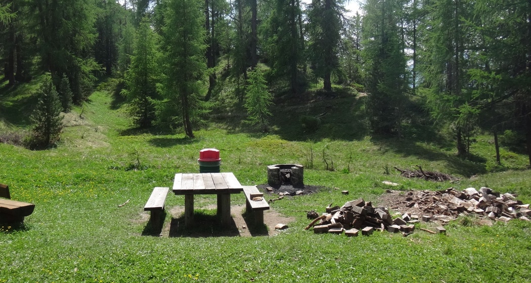 Feuerstelle im Laretwald (oua_620280527_image)