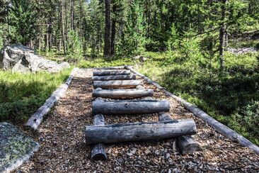 Vita Parcours Celerina (oua_620280779_image)