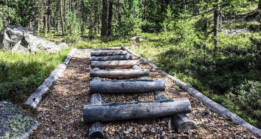 Vita Parcours Celerina (oua_620280779_image)