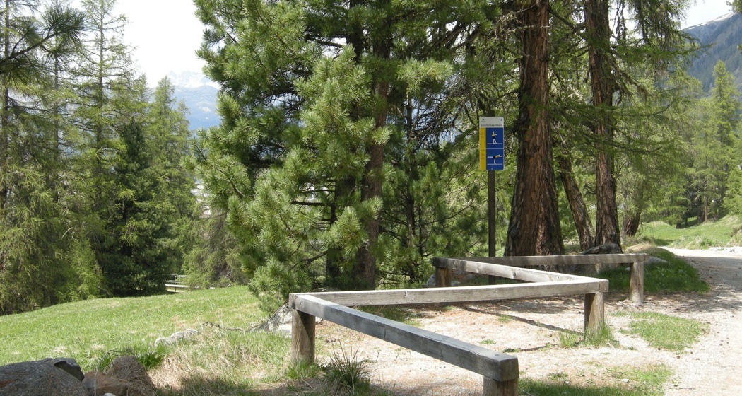 Vita Parcours Pontresina (oua_620280786_image)