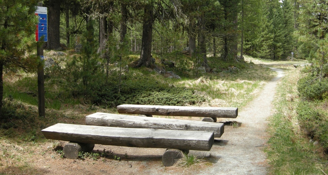 Vita Parcours Pontresina (oua_620280787_image)