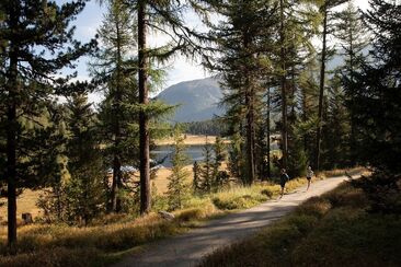 Vita Parcours St. Moritz (oua_620280796_image)