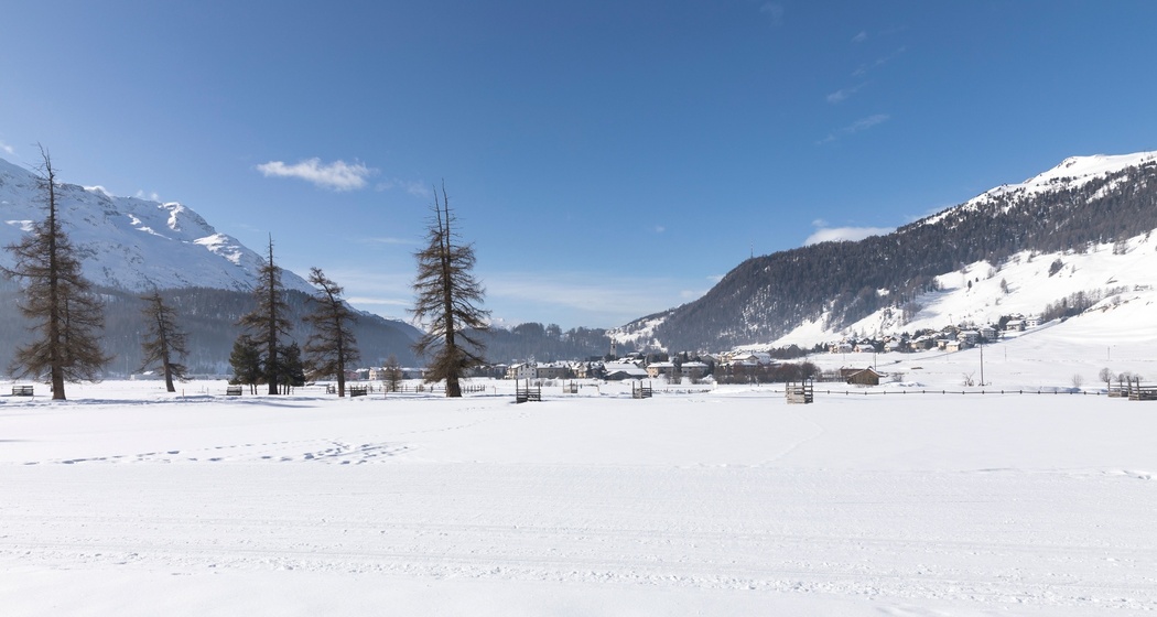 Sitzbänke Champagnola (oua_620280798_image)