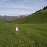 Hochmoor auf Aschüel