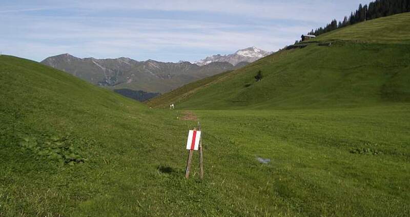 Hochmoor auf Aschüel