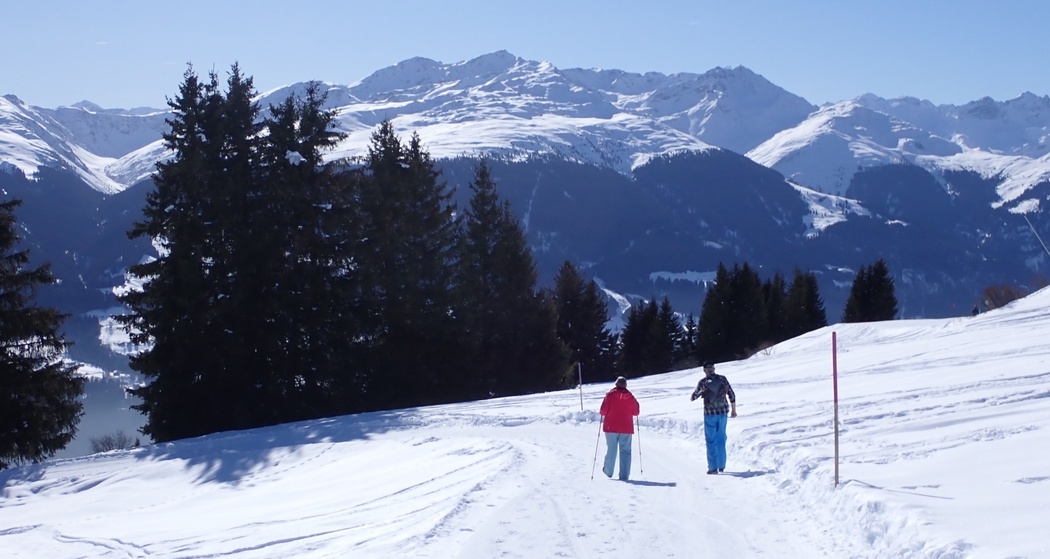 Winterwandern: Alp Dado - Waltensburg (oua_620450279_image)