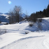 Winter hiking: Alp Dado - Waltensburg (oua_620450280_image)