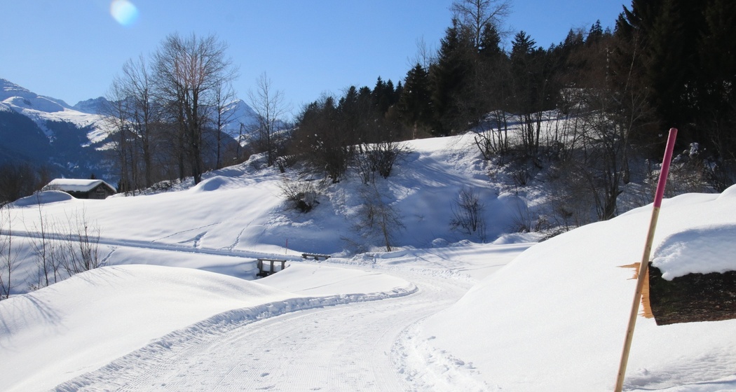Winterwandern: Alp Dado - Waltensburg (oua_620450280_image)