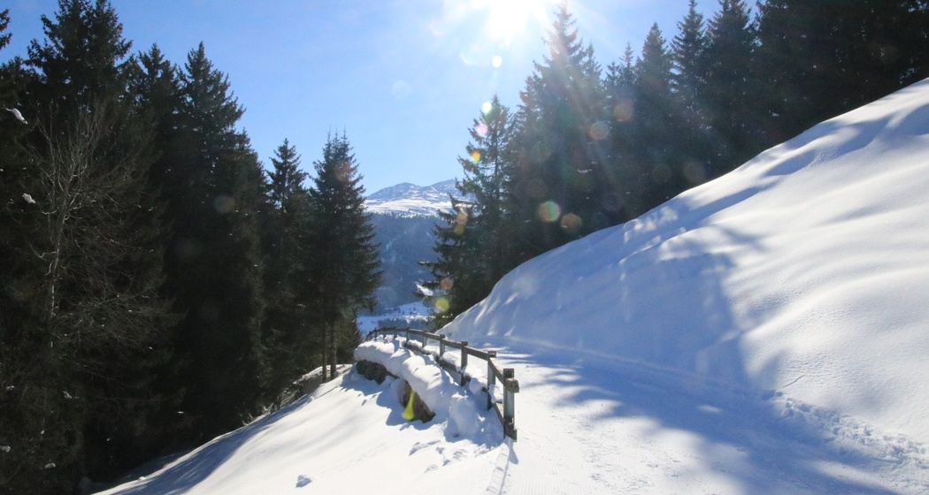 Winterwandern: Alp Dado - Waltensburg (oua_620450281_image)