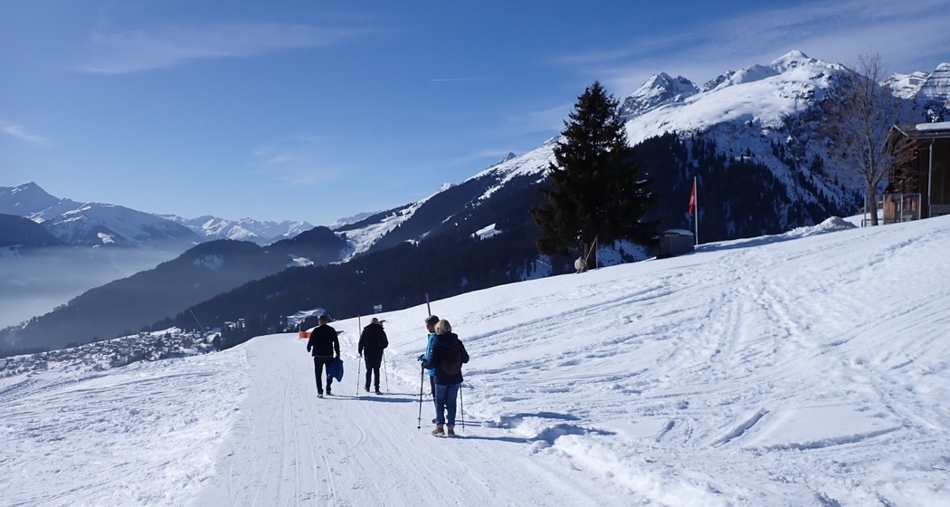 Winterwandern: Crest Falla - Talstation Brigels (oua_620450312_image)