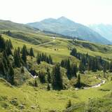 Blick auf die Saaseralp