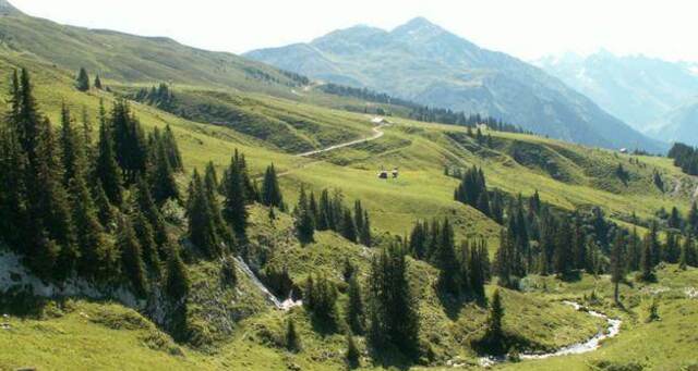 Blick auf die Saaseralp