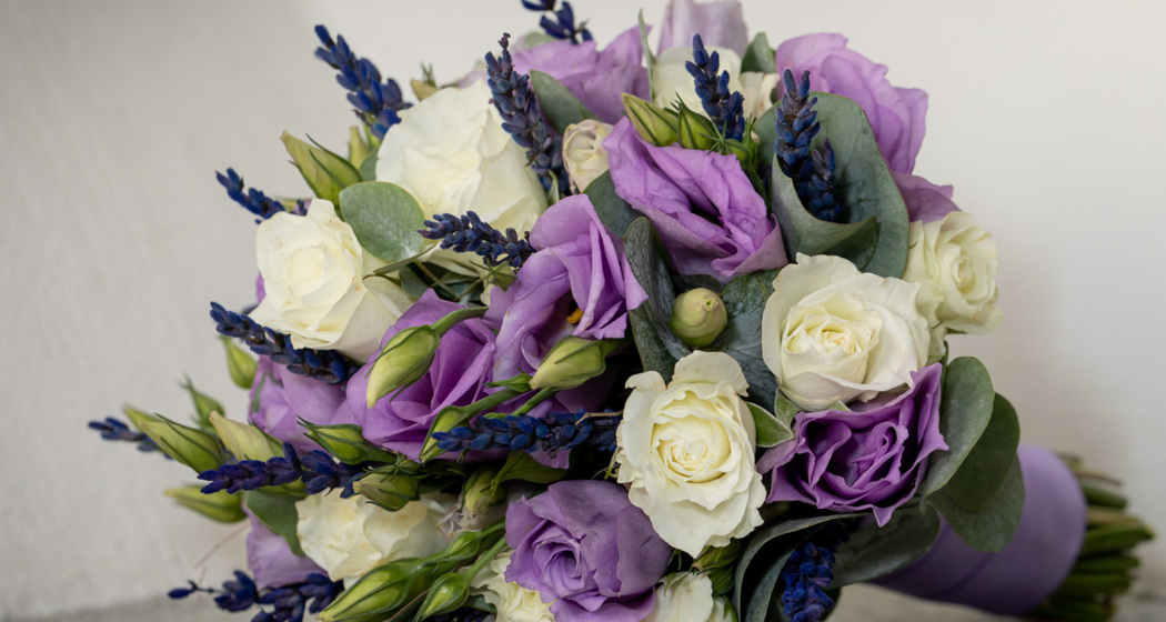 Calamandrin (oua_621038235_image)