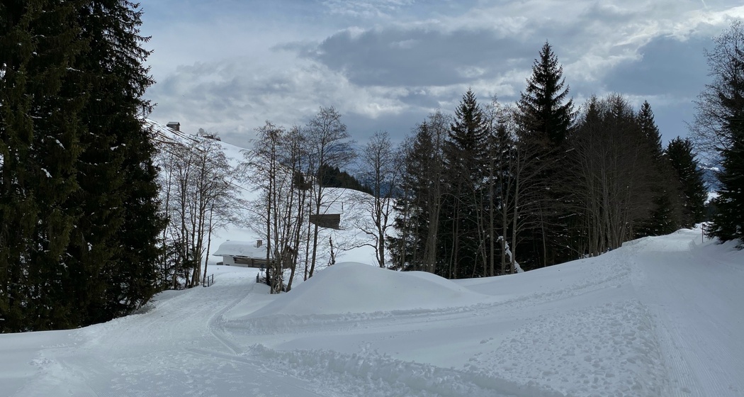 Kreuzung vor Säerei Gneida