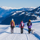 Via Mundaun: Etappe 2 (oua_621414977_image)