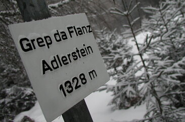 Flanz/Adlerstein, Waltensburg (oua_621650880_image)