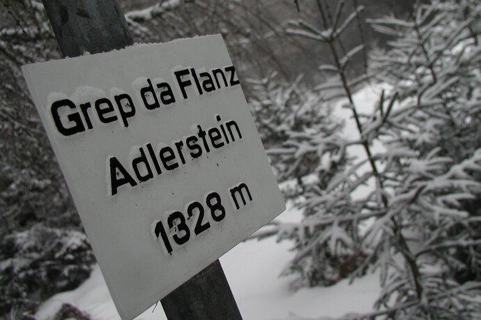 Flanz/Adlerstein, Waltensburg (oua_621650880_image)