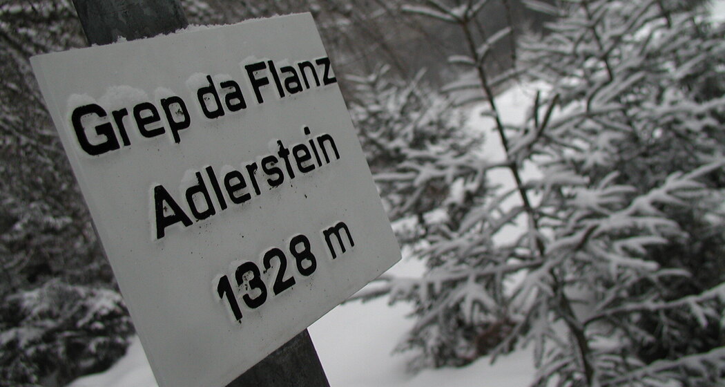 Flanz/Adlerstein, Waltensburg (oua_621650880_image)