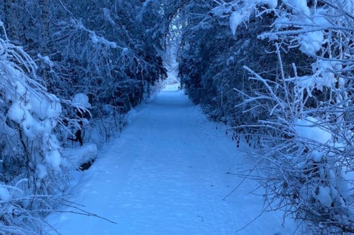 Senda d'art / Kunstpfad am Rhein (oua_621650894_image)