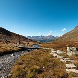 Trailrunning Paradisrunde