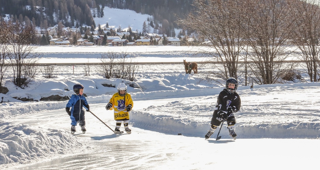 Eisweg Madulain - Zuoz (oua_621832050_image)