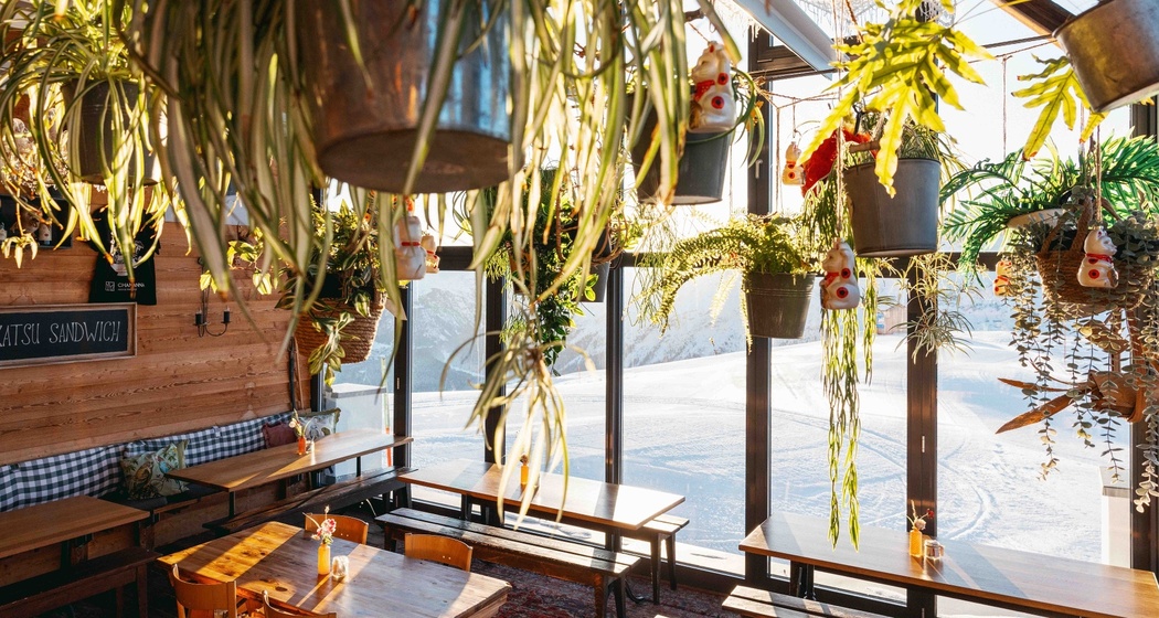 Chamanna (oua_621835536_image)