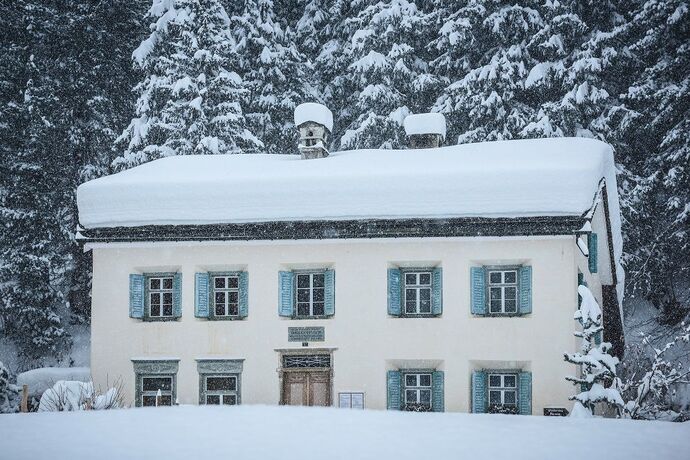 Nietzsche-Haus (oua_621866964_image)