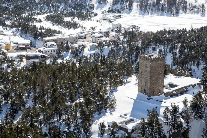 The Belvedere Tower (oua_621867039_image)