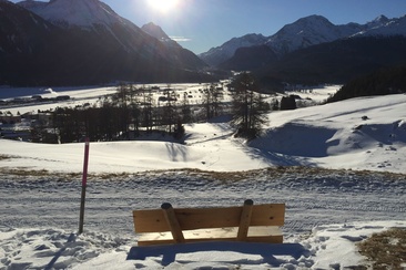 Sitzbänke Cristolais - Aussicht Samedan (oua_621867046_image)