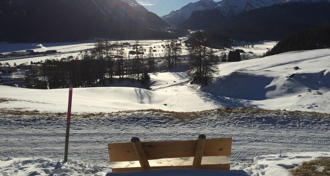 Sitzbänke Cristolais - Aussicht Samedan (oua_621867046_image)