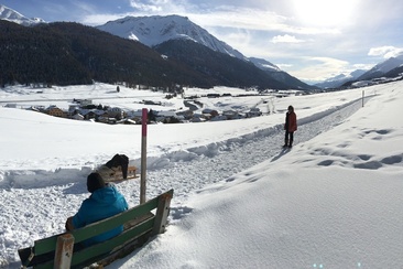 Sitzbank Palüds (oua_621867063_image)