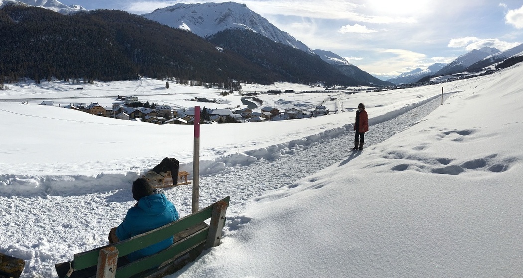 Sitzbank Palüds (oua_621867063_image)