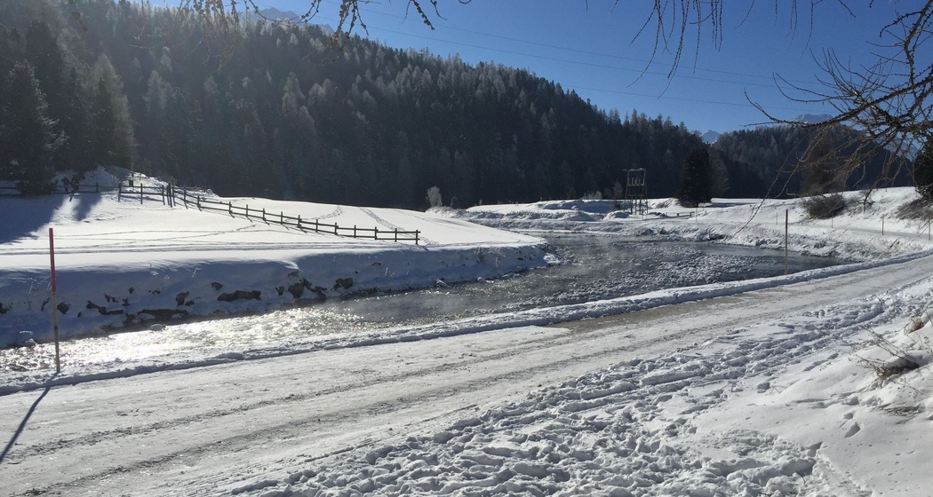 Sitzbank Champfèr Brücke (oua_621867076_image)