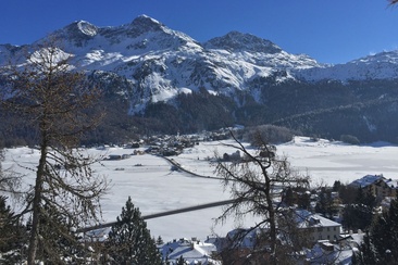 Panca Pignia (oua_621867080_image)