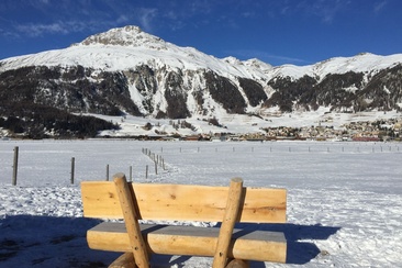 Sitzbänke neuer Flaz (oua_621867085_image)