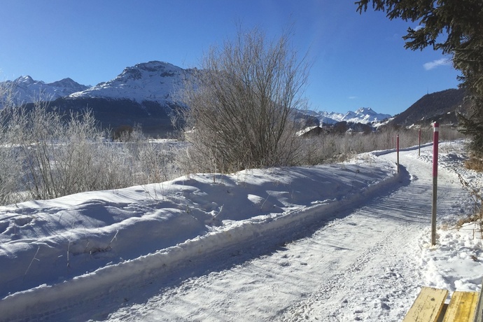 Bancs de Promulins (oua_621867097_image)
