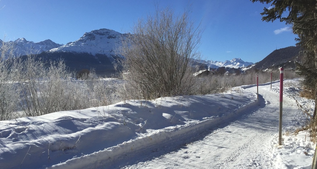 Sitzbänke Promulins (oua_621867097_image)