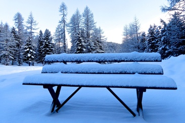 Panchina Val Roseg (oua_621867101_image)