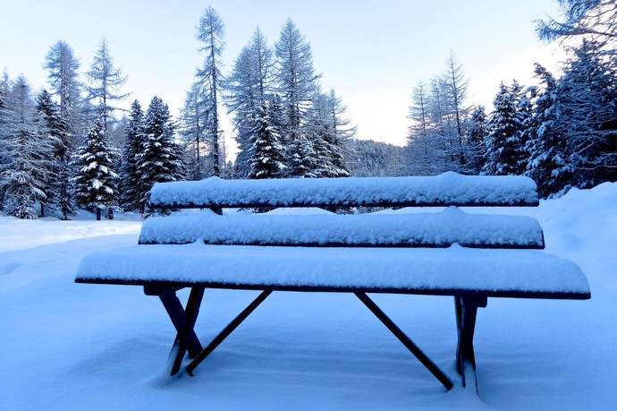 Panchina Val Roseg (oua_621867101_image)