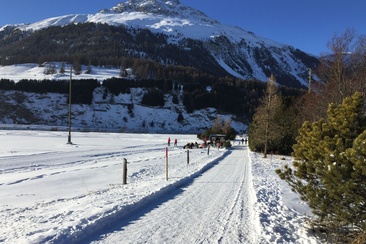 Bancs de Champagnola (oua_621867119_image)