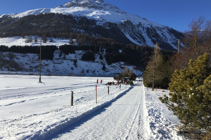 Champagnola benches (oua_621867119_image)