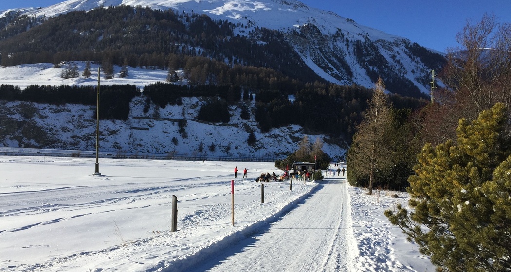 Sitzbänke Champagnola (oua_621867119_image)
